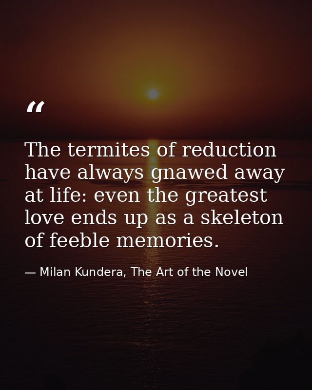 The termites of reduction have always gnawed away at life: even the greatest love ends up as a skeleton of feeble memori — Milan Kundera, The Art of the Novel