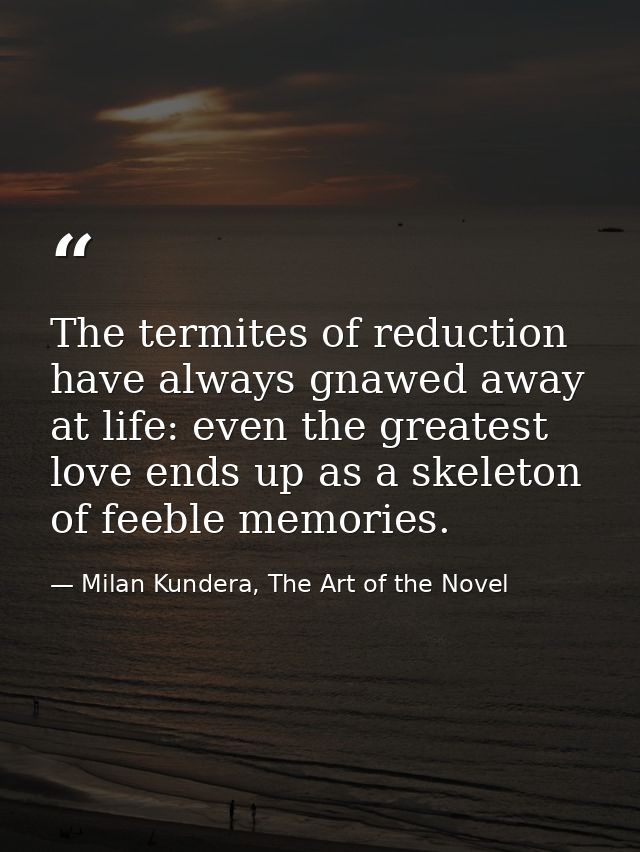 The termites of reduction have always gnawed away at life: even the greatest love ends up as a skeleton of feeble memori — Milan Kundera, The Art of the Novel