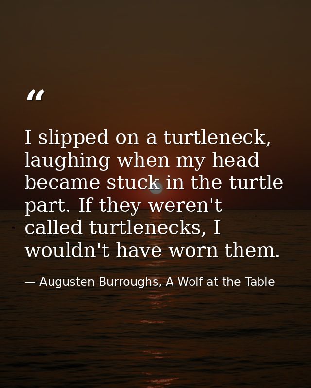 I slipped on a turtleneck, laughing when my head became stuck in the turtle part. If they weren't called turtlenecks, I  — Augusten Burroughs, A Wolf at the Table