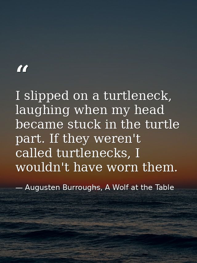 I slipped on a turtleneck, laughing when my head became stuck in the turtle part. If they weren't called turtlenecks, I  — Augusten Burroughs, A Wolf at the Table