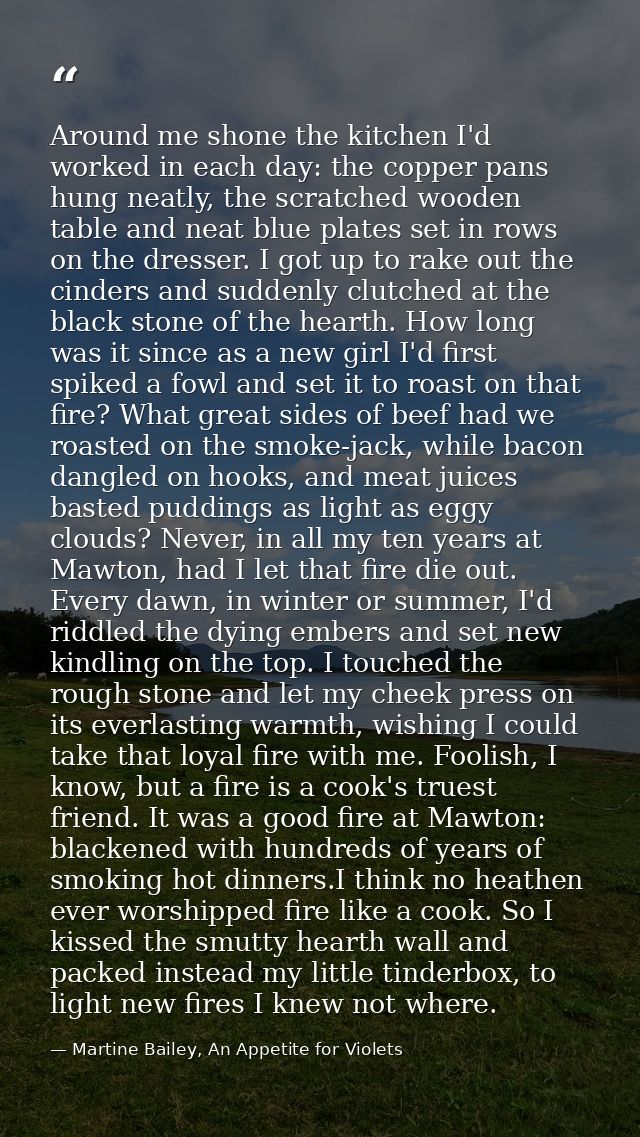 Around me shone the kitchen I'd worked in each day: the copper pans hung neatly, the scratched wooden table and neat blu — Martine Bailey, An Appetite for Violets