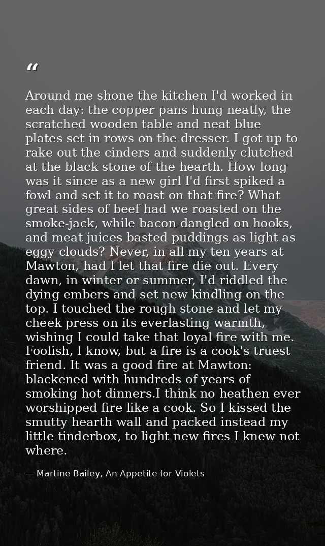 Around me shone the kitchen I'd worked in each day: the copper pans hung neatly, the scratched wooden table and neat blu — Martine Bailey, An Appetite for Violets
