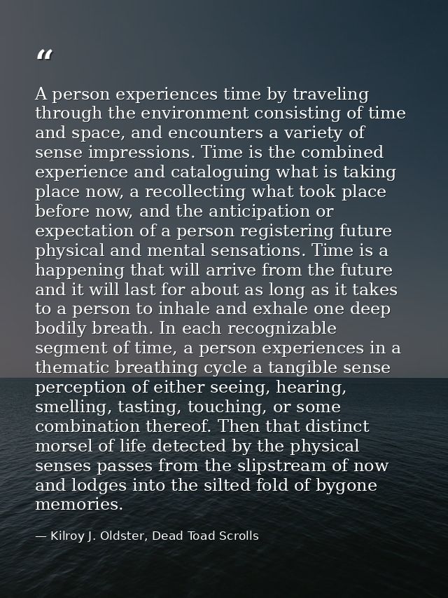A person experiences time by traveling through the environment consisting of time and space, and encounters a variety of — Kilroy J. Oldster, Dead Toad Scrolls