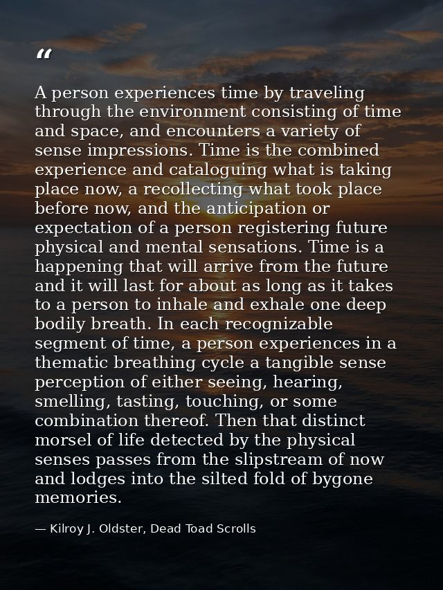 A person experiences time by traveling through the environment consisting of time and space, and encounters a variety of — Kilroy J. Oldster, Dead Toad Scrolls