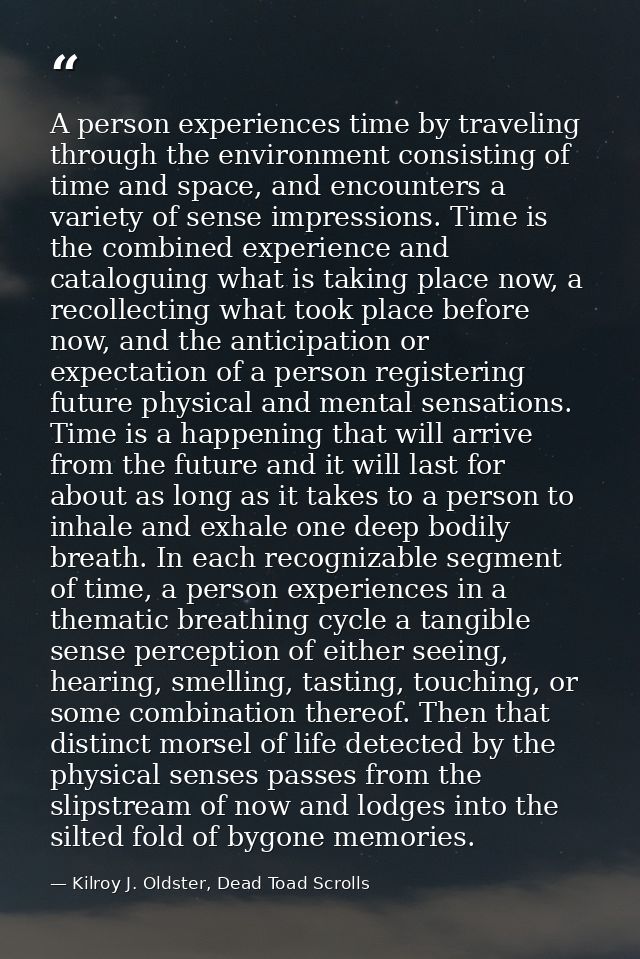 A person experiences time by traveling through the environment consisting of time and space, and encounters a variety of — Kilroy J. Oldster, Dead Toad Scrolls