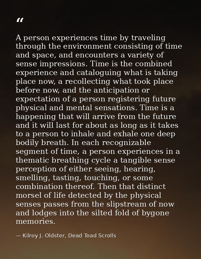 A person experiences time by traveling through the environment consisting of time and space, and encounters a variety of — Kilroy J. Oldster, Dead Toad Scrolls