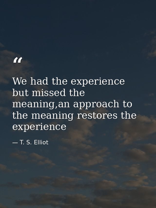We had the experience but missed the meaning,an approach to the meaning restores the experience — T. S. Elliot