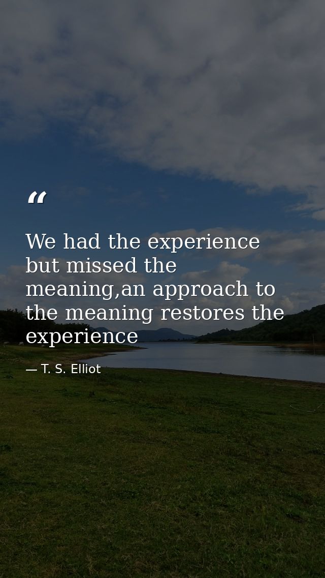 We had the experience but missed the meaning,an approach to the meaning restores the experience — T. S. Elliot