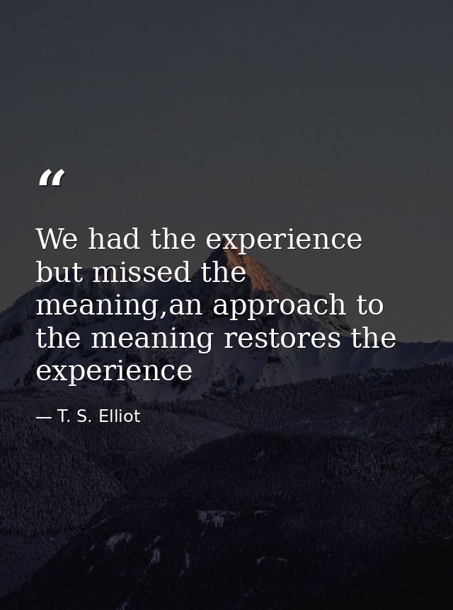 We had the experience but missed the meaning,an approach to the meaning restores the experience — T. S. Elliot