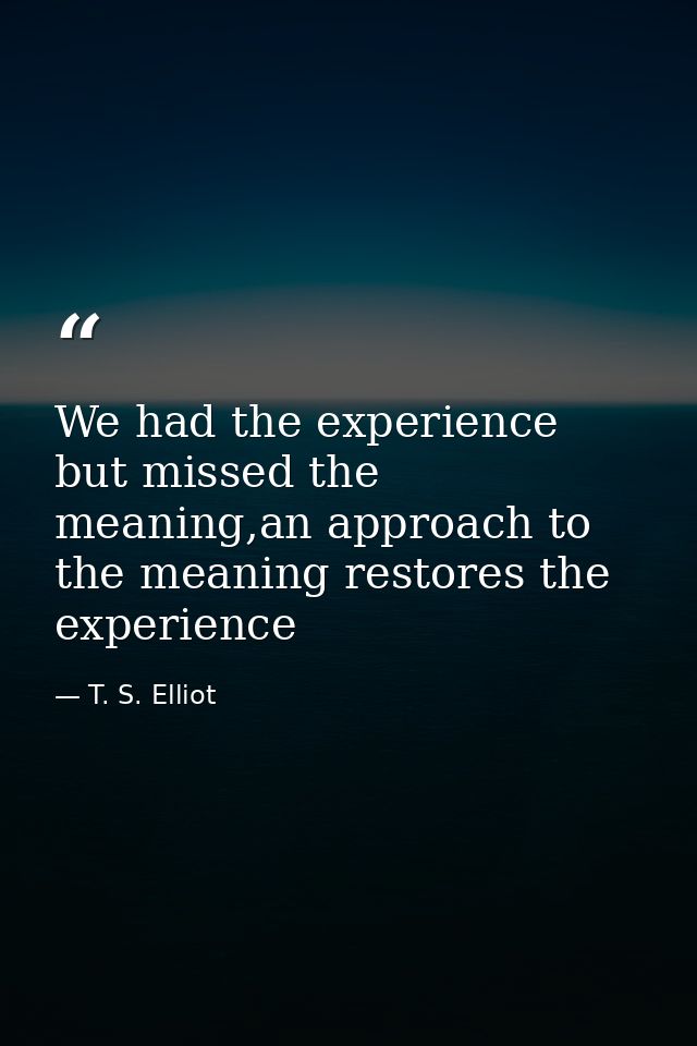 We had the experience but missed the meaning,an approach to the meaning restores the experience — T. S. Elliot