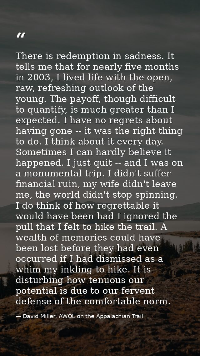 There is redemption in sadness. It tells me that for nearly five months in 2003, I lived life with the open, raw, refres — David Miller, AWOL on the Appalachian Trail