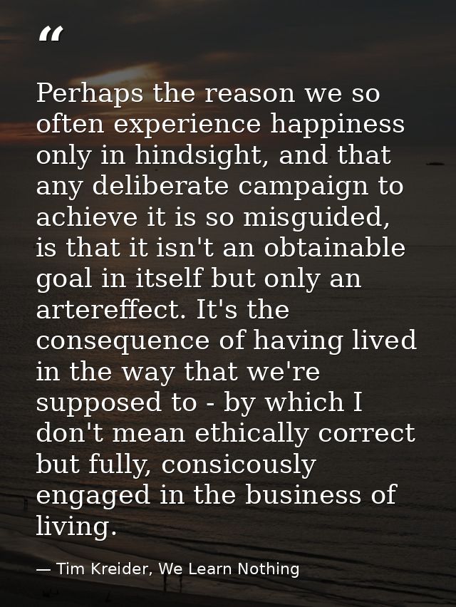 Perhaps the reason we so often experience happiness only in hindsight, and that any deliberate campaign to achieve it is — Tim Kreider, We Learn Nothing