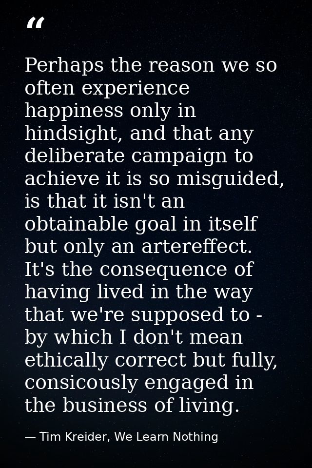 Perhaps the reason we so often experience happiness only in hindsight, and that any deliberate campaign to achieve it is — Tim Kreider, We Learn Nothing