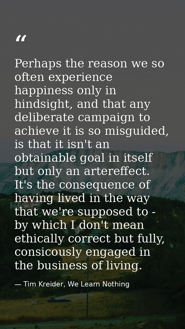 Perhaps the reason we so often experience happiness only in hindsight, and that any deliberate campaign to achieve it is — Tim Kreider, We Learn Nothing