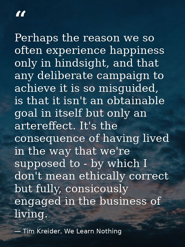 Perhaps the reason we so often experience happiness only in hindsight, and that any deliberate campaign to achieve it is — Tim Kreider, We Learn Nothing