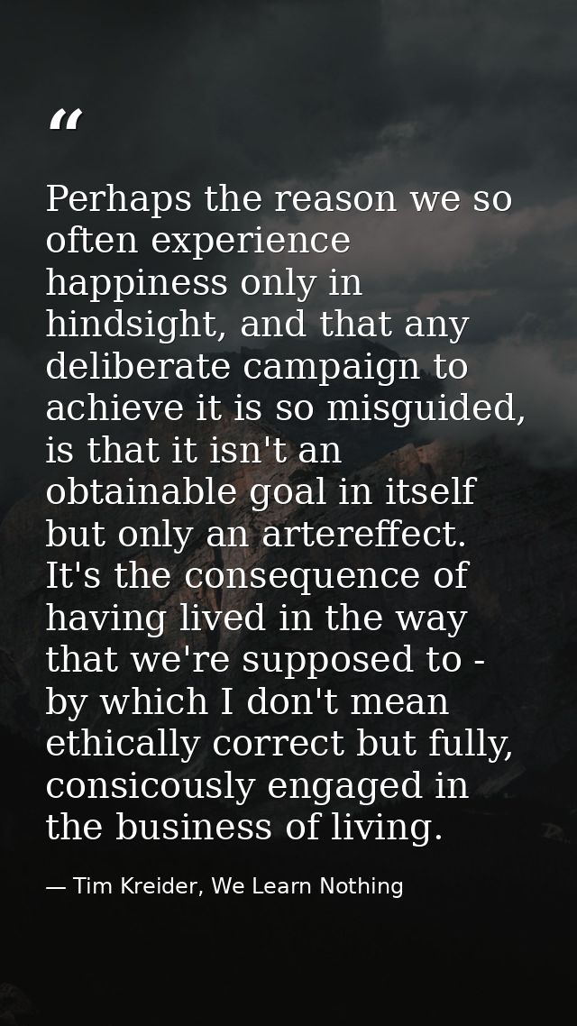 Perhaps the reason we so often experience happiness only in hindsight, and that any deliberate campaign to achieve it is — Tim Kreider, We Learn Nothing