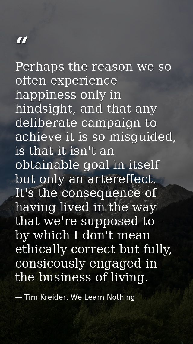 Perhaps the reason we so often experience happiness only in hindsight, and that any deliberate campaign to achieve it is — Tim Kreider, We Learn Nothing