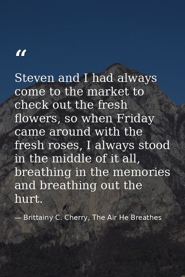 Steven and I had always come to the market to check out the fresh flowers, so when Friday came around with the fresh ros — Brittainy C. Cherry, The Air He Breathes