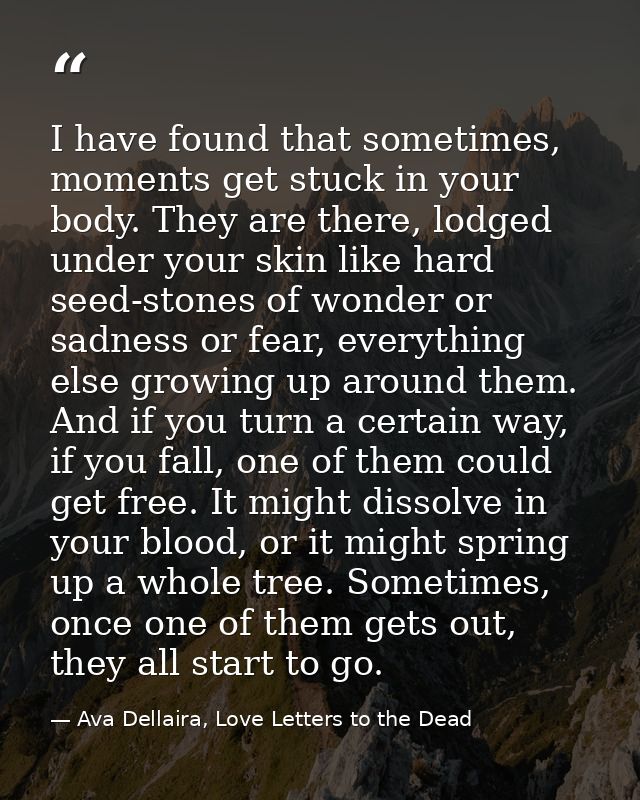 I have found that sometimes, moments get stuck in your body. They are there, lodged under your skin like hard seed-stone — Ava Dellaira, Love Letters to the Dead