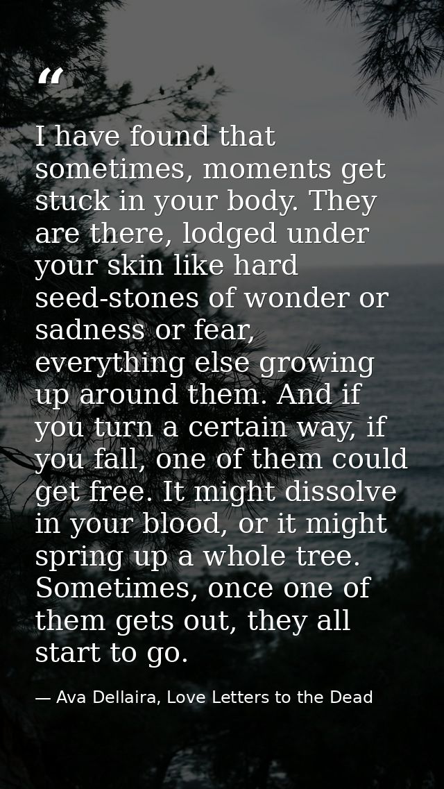 I have found that sometimes, moments get stuck in your body. They are there, lodged under your skin like hard seed-stone — Ava Dellaira, Love Letters to the Dead