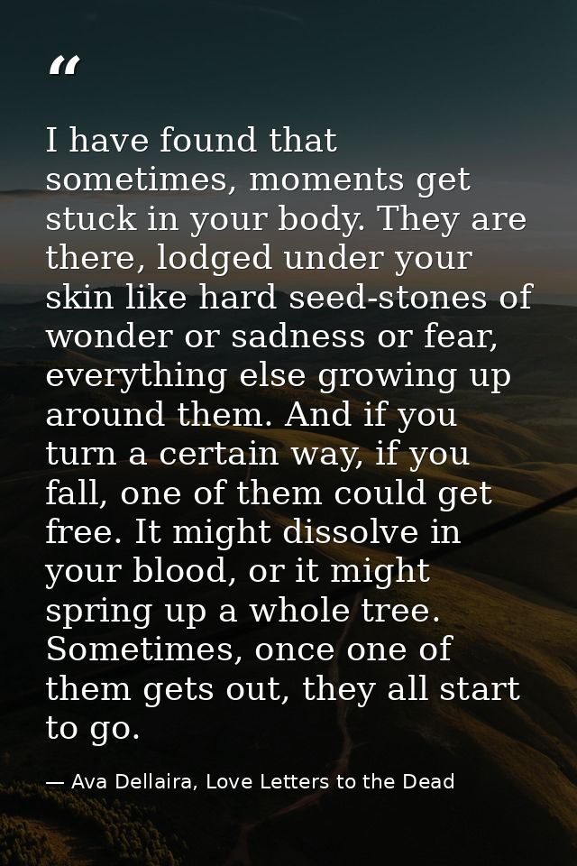 I have found that sometimes, moments get stuck in your body. They are there, lodged under your skin like hard seed-stone — Ava Dellaira, Love Letters to the Dead