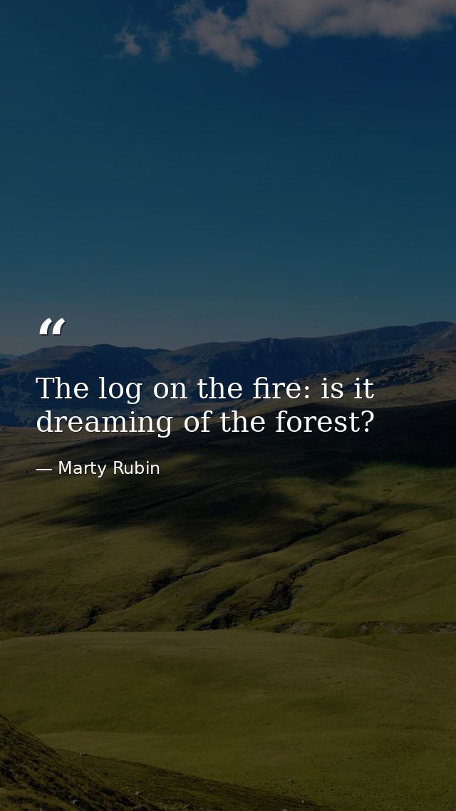 The log on the fire: is it dreaming of the forest? — Marty Rubin