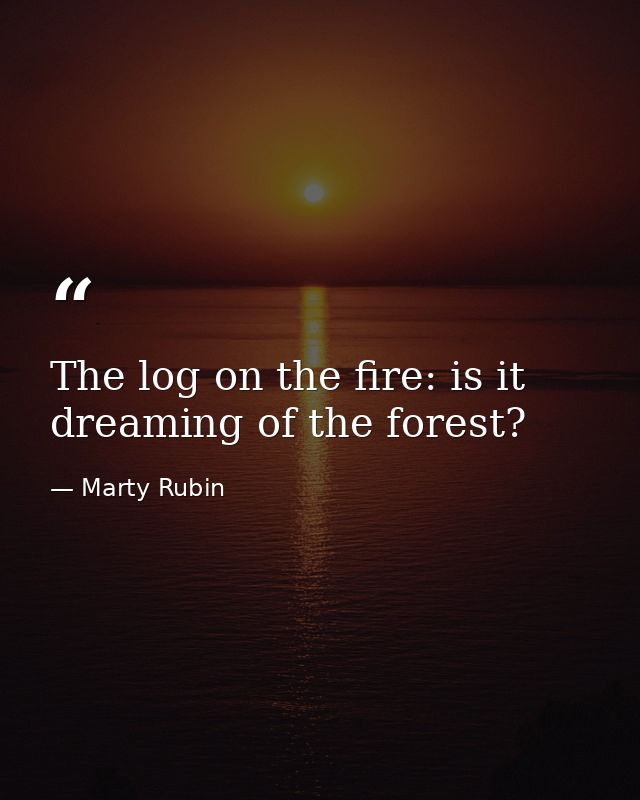The log on the fire: is it dreaming of the forest? — Marty Rubin