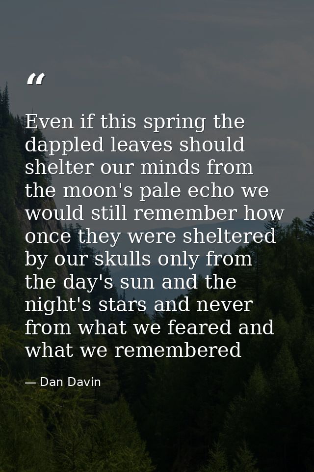 Even if this spring the dappled leaves should shelter our minds from the moon's pale echo we would still remember how on — Dan Davin