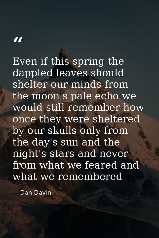 Even if this spring the dappled leaves should shelter our minds from the moon's pale echo we would still remember how on — Dan Davin