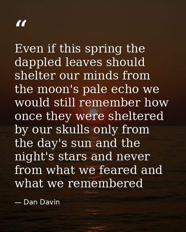 Even if this spring the dappled leaves should shelter our minds from the moon's pale echo we would still remember how on — Dan Davin