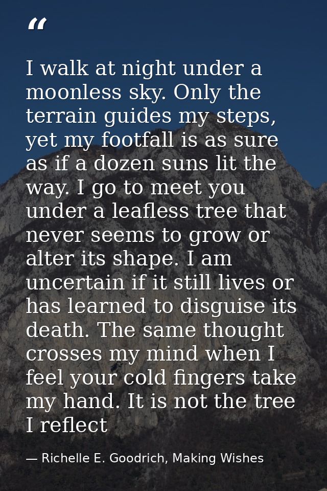 I walk at night under a moonless sky. Only the terrain guides my steps, yet my footfall is as sure as if a dozen suns li — Richelle E. Goodrich, Making Wishes