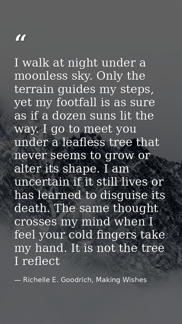 I walk at night under a moonless sky. Only the terrain guides my steps, yet my footfall is as sure as if a dozen suns li — Richelle E. Goodrich, Making Wishes