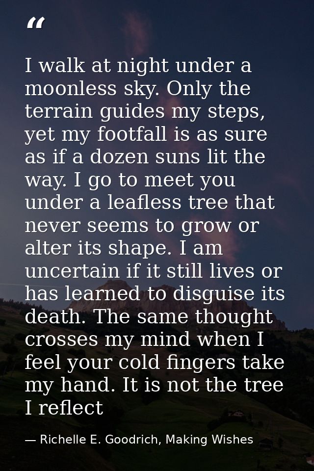 I walk at night under a moonless sky. Only the terrain guides my steps, yet my footfall is as sure as if a dozen suns li — Richelle E. Goodrich, Making Wishes