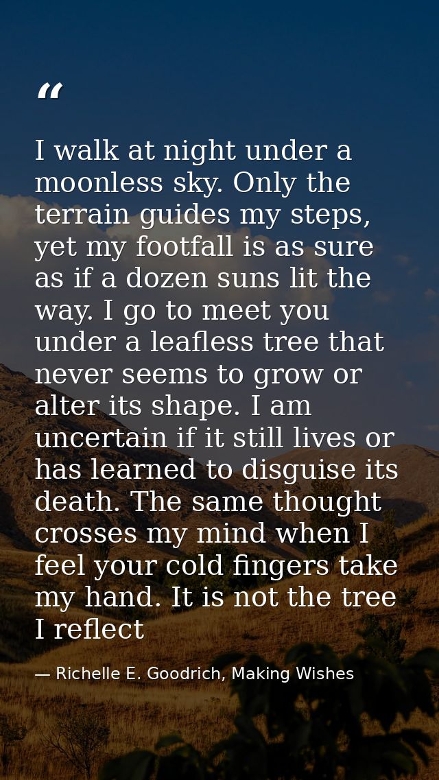 I walk at night under a moonless sky. Only the terrain guides my steps, yet my footfall is as sure as if a dozen suns li — Richelle E. Goodrich, Making Wishes