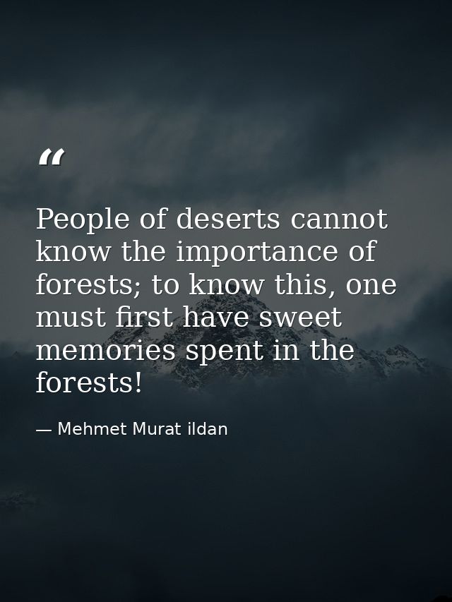 People of deserts cannot know the importance of forests; to know this, one must first have sweet memories spent in the f — Mehmet Murat ildan