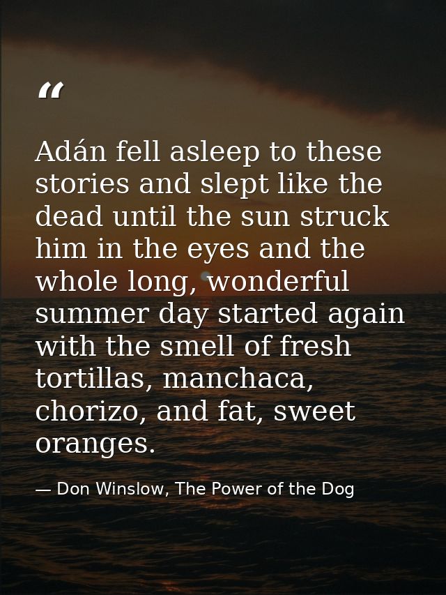 Adán fell asleep to these stories and slept like the dead until the sun struck him in the eyes and the whole long, wonde — Don Winslow, The Power of the Dog