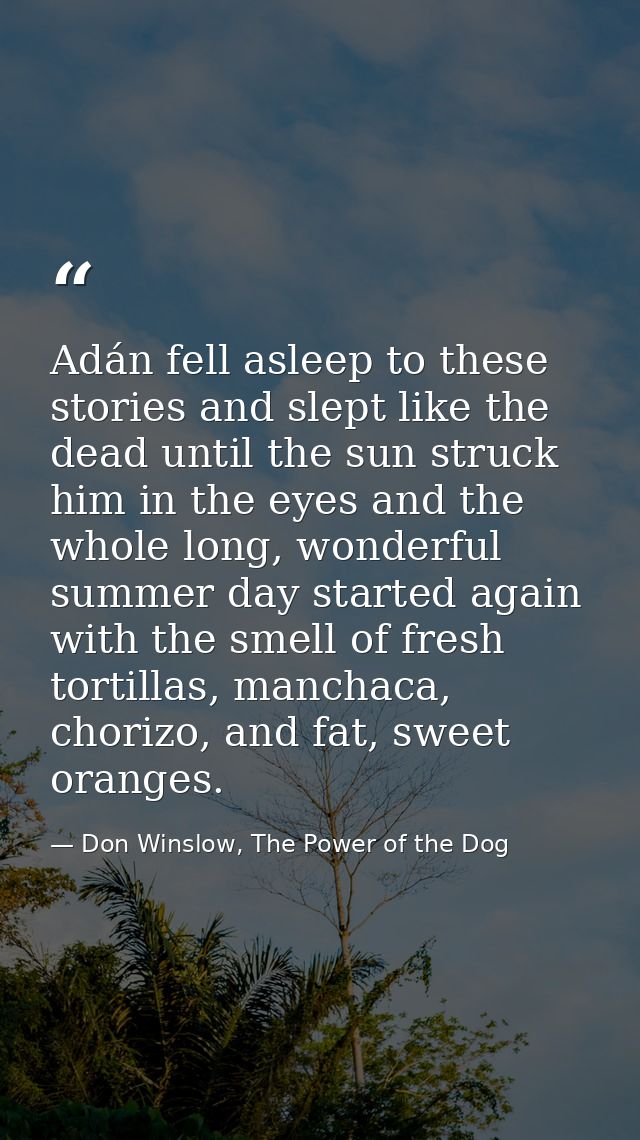 Adán fell asleep to these stories and slept like the dead until the sun struck him in the eyes and the whole long, wonde — Don Winslow, The Power of the Dog