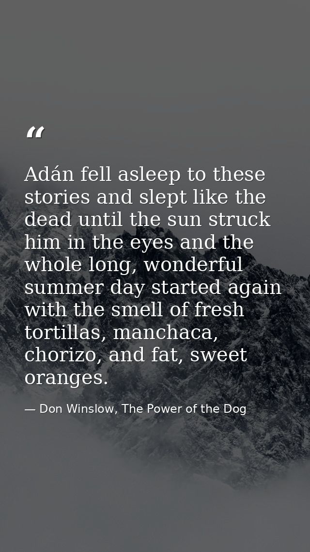 Adán fell asleep to these stories and slept like the dead until the sun struck him in the eyes and the whole long, wonde — Don Winslow, The Power of the Dog