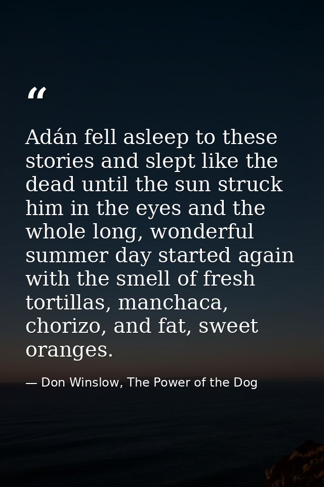 Adán fell asleep to these stories and slept like the dead until the sun struck him in the eyes and the whole long, wonde — Don Winslow, The Power of the Dog