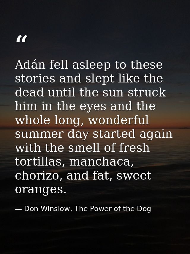 Adán fell asleep to these stories and slept like the dead until the sun struck him in the eyes and the whole long, wonde — Don Winslow, The Power of the Dog