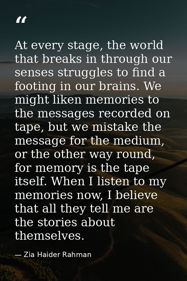 At every stage, the world that breaks in through our senses struggles to find a footing in our brains. We might liken me — Zia Haider Rahman