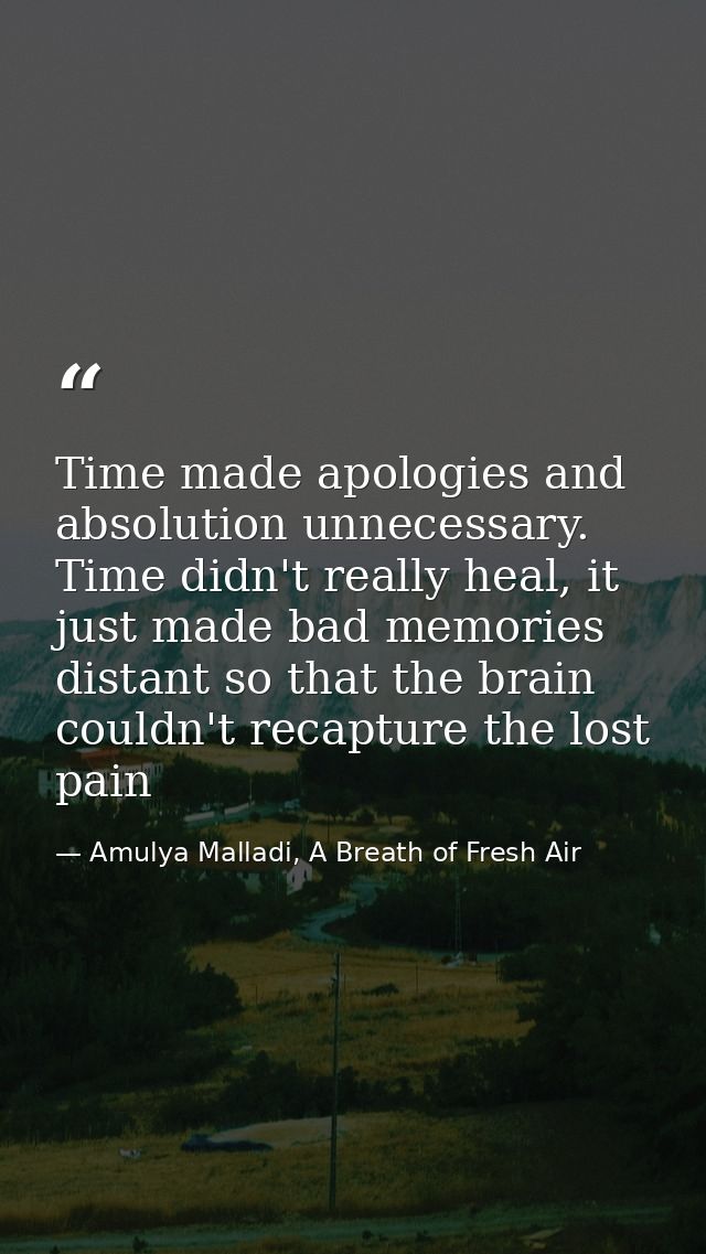 Time made apologies and absolution unnecessary. Time didn't really heal, it just made bad memories distant so that the b — Amulya Malladi, A Breath of Fresh Air