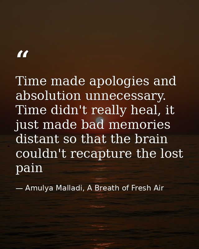 Time made apologies and absolution unnecessary. Time didn't really heal, it just made bad memories distant so that the b — Amulya Malladi, A Breath of Fresh Air
