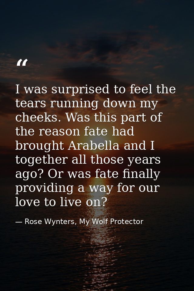 I was surprised to feel the tears running down my cheeks. Was this part of the reason fate had brought Arabella and I to — Rose Wynters, My Wolf Protector