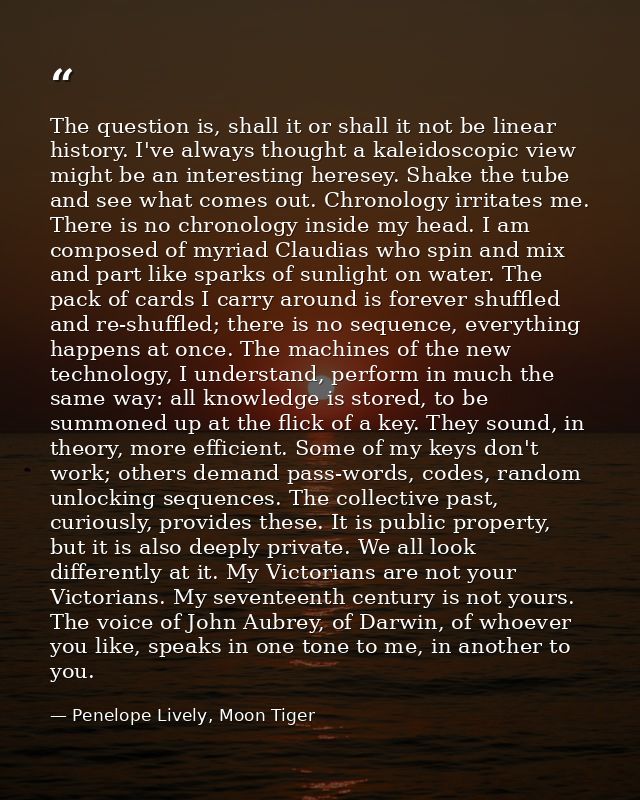The question is, shall it or shall it not be linear history. I've always thought a kaleidoscopic view might be an intere — Penelope Lively, Moon Tiger