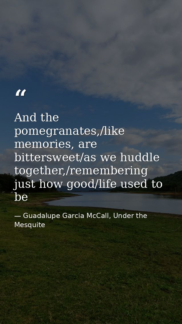 And the pomegranates,/like memories, are bittersweet/as we huddle together,/remembering just how good/life used to be — Guadalupe Garcia McCall, Under the Mesquite