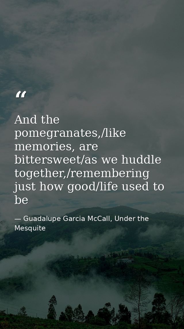 And the pomegranates,/like memories, are bittersweet/as we huddle together,/remembering just how good/life used to be — Guadalupe Garcia McCall, Under the Mesquite