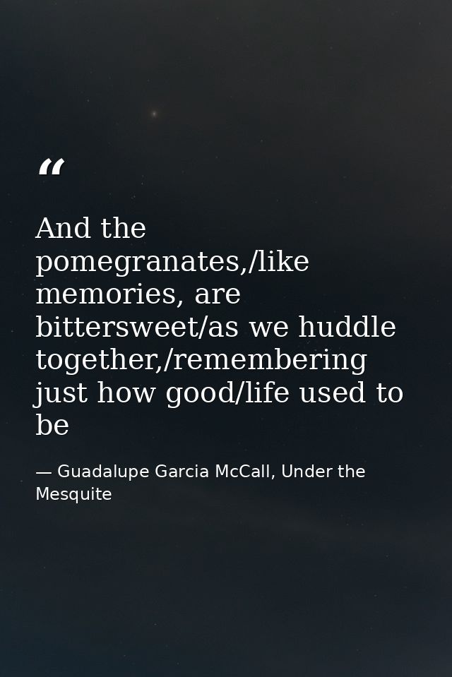 And the pomegranates,/like memories, are bittersweet/as we huddle together,/remembering just how good/life used to be — Guadalupe Garcia McCall, Under the Mesquite