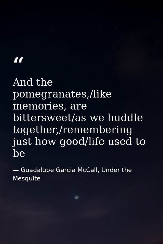 And the pomegranates,/like memories, are bittersweet/as we huddle together,/remembering just how good/life used to be — Guadalupe Garcia McCall, Under the Mesquite