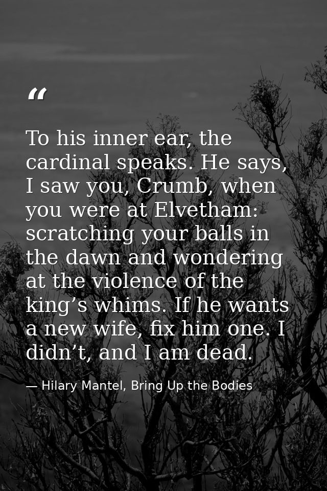 To his inner ear, the cardinal speaks. He says, I saw you, Crumb, when you were at Elvetham: scratching your balls in th — Hilary Mantel, Bring Up the Bodies